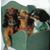 Janelle Boyer Mattie's profile image