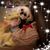 Marcie Fales Lowe's profile image