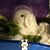 Cheryl Lee's profile image
