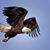 Antonio D. Bernal's profile image