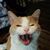 Michael Martin's profile image