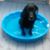 Ken Babbitt's profile image