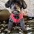 Connie Green Lytle's profile image