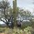 Lynnda Oslund Burnison's profile image