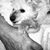 Julie VanNatta's profile image