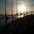Trish Sullivan Kline's profile image