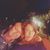 Kimberly Stefanovich's profile image