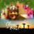 Rosa Tijerina's profile image