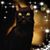 Derrick Black's profile image