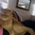 Jane Frates's profile image