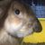 Ainhoa Garrido Puente's profile image