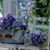 Karen Bice's profile image