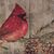 Elfreda Taylor's profile image