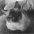 Lisa Reichard-Tefft's profile image