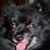 Pat Cottrell's profile image