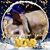 Jean McCarter Nelson's profile image