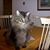 Jewell Jackson's profile image