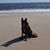 Donna Swicegood's profile image