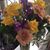 Jennifer Provost Moulder's profile image