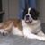 Brenda Hanus's profile image