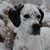 Gwen S. Carroll's profile image