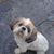 John Bure's profile image