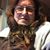 Sue Caruso's profile image