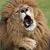 Jeff Maurig's profile image