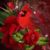Brenda Lovelady's profile image