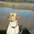 Kathy Thomas's profile image