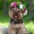 Cindy Kelly's profile image