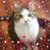 Pam McCoy's profile image