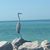 Laurie Hohenstein Schulze's profile image