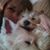 Jenny Francis's profile image