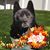 Renée Helen's profile image