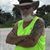 Nick Levy's profile image
