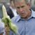 David Mueller's profile image
