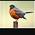 Robin Whiffen's profile image