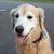 Karen Polzin's profile image