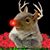 Laura Knapp's profile image