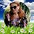 Deb Poloson's profile image