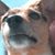Scott White's profile image
