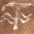 Shaun Teut's profile image