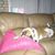 Gerry Pastore's profile image