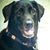 Jan Sizemore's profile image