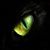 Joshua Daniel Lee Cate's profile image
