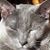 Lynn Stitzer Hilbert's profile image