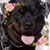 Louise Thorpe's profile image