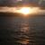 Susan Loeding's profile image