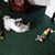 Kathi Sherron's profile image
